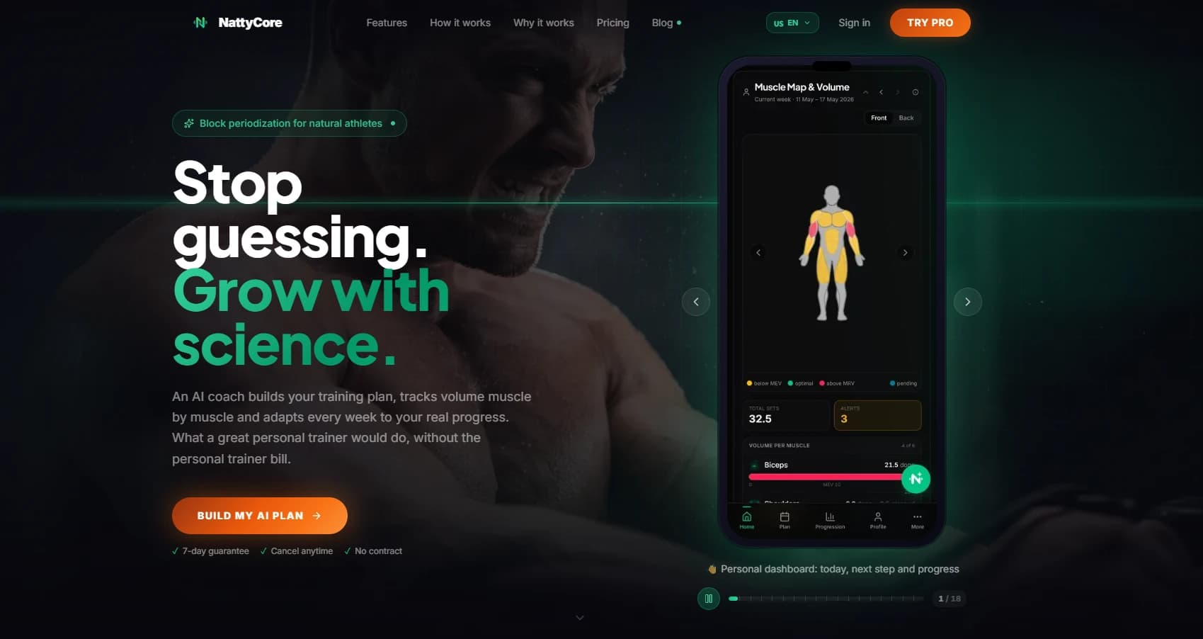 NattyCore — website screenshot